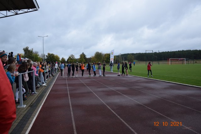 szatf 14